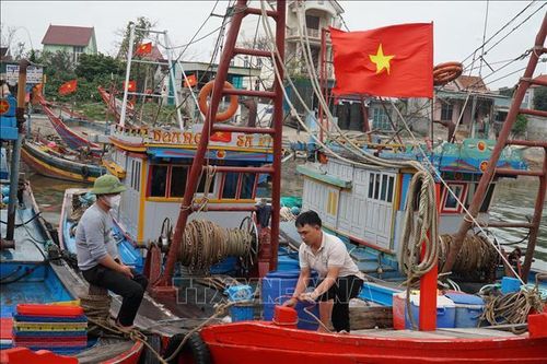 Giá xăng dầu tăng, ngư dân gặp khó