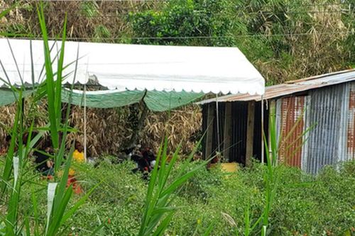 Nam thanh niên 22 tuổi sát hại cha ruột rồi kéo xác ra luống đất gần nhà phi tang
