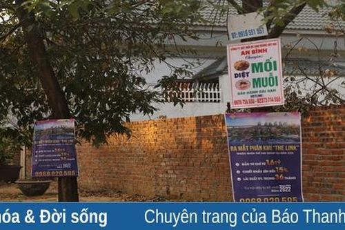 Nhếch nhác 'rác' quảng cáo