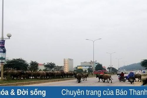 Mất an toàn giao thông trên đường Hùng Vương