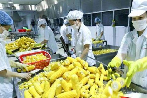 Xuất khẩu nông sản sang Nga phải tạm dừng
