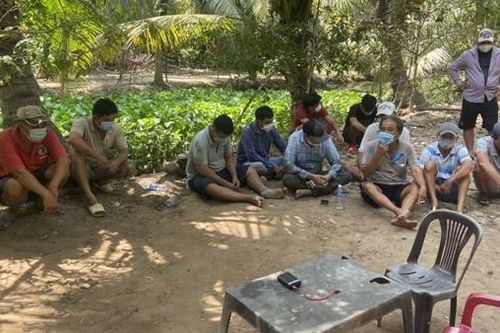Triệt phá trường gà trong vườn dừa, tạm giữ trên 300 triệu đồng