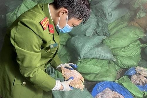 Thu giữ gần chục tấn chân gà, nội tạng động vật trong kho lạnh