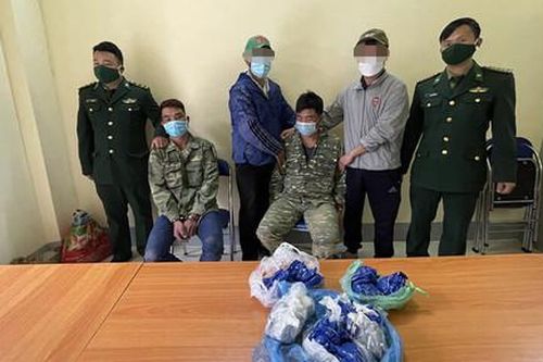 Giả làm người đi hái phong lan, anh em ruột mua bán lượng lớn ma túy
