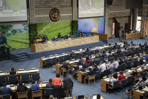 UNEA thông qua 14 nghị quyết nhằm bảo vệ và phục hồi thiên nhiên