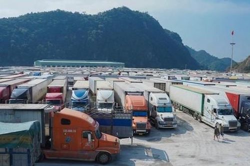 Gỡ ùn ứ trong xuất khẩu nông sản: Đề cao vai trò của Hiệp hội ngành hàng