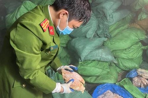 Ngăn chặn gần 10 tấn dạ dày, chân gà bốc mùi hôi thối chuẩn bị ra thị trường