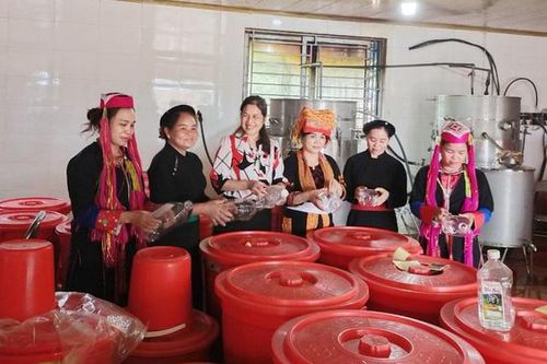 Hỗ trợ thành lập mô hình sinh kế, giảm nghèo bền vững