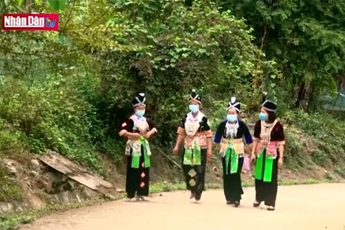 Nữ 'thủ lĩnh' người Mông của bản vùng cao Tương Dương, Nghệ An