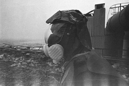 Thảm họa Chernobyl bị đồn biến chuột thành quái vật, chuyên gia nói gì?