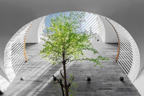 Những xu hướng thiết kế giếng trời năm 2022 để ngôi nhà sang, đẹp
