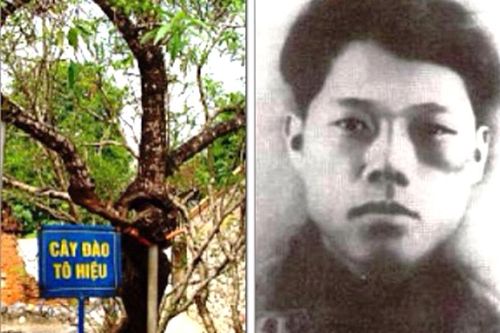 Kỷ niệm 110 năm Ngày sinh đồng chí Tô Hiệu: Người chiến sĩ cộng sản trọn đời phụng sự cho Tổ quốc