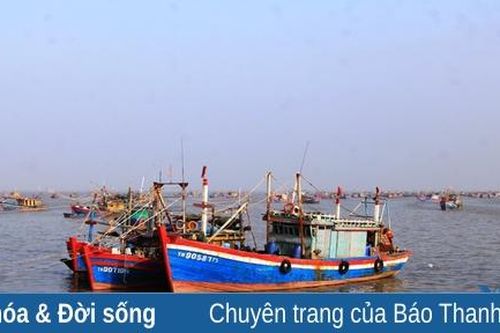 Thơm ngon cá mối một nắng
