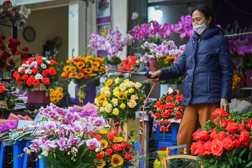 Hoa hồng tiền triệu ở Hà Nội chờ khách ngày 8/3