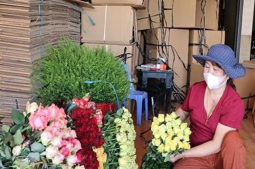 Lâm Đồng: Giá hoa hồng tăng cao trước lễ 8.3