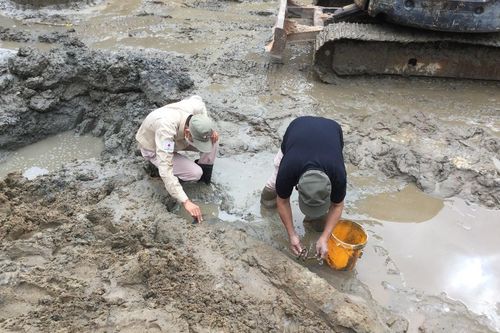 Quảng Bình: Xử lý an toàn quả bom tạ phát hiện khi đào móng nhà