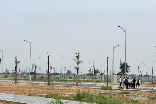 Làm cách nào để bán đất khi người đồng sở hữu không đồng ý?