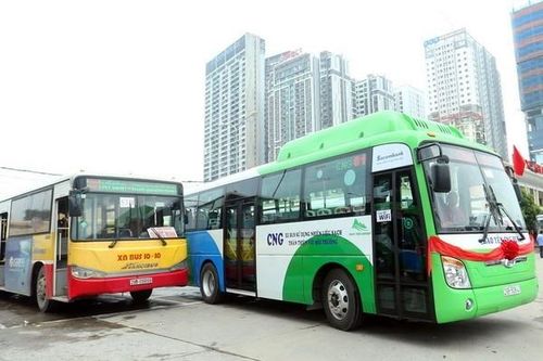 Sẽ giảm hơn 50% tần suất các tuyến buýt kế cận ở Hà Nội do COVID-19