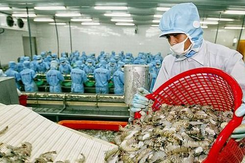Doanh nghiệp xuất khẩu kẹt trong thế khó