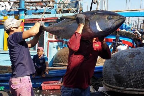 Doanh nghiệp thủy sản Việt Nam bắt đầu 'dính đòn' do chiến sự tại Ukraina