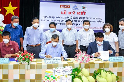 Hợp tác xây dựng vùng nguyên liệu xoài đạt chuẩn quốc tế tại An Giang