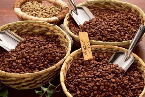 Nhật Bản tăng nhập khẩu cà phê Việt Nam