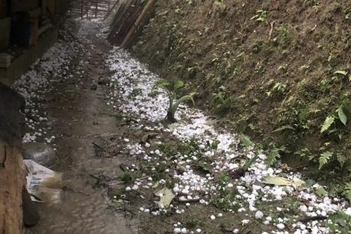 Mưa đá ở nhiều huyện vùng cao Sơn La gây thiệt hại nghiêm trọng
