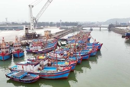 Thuyền đánh cá 'chen' tàu hàng ở cảng Cửa Lò