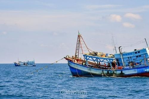 Cà Mau: Khát vọng từ biển (Bài 1)