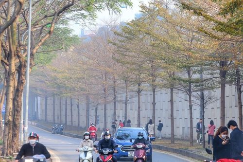 Ngắm Hà Nội đẹp ngỡ ngàng trong mùa cây thay lá