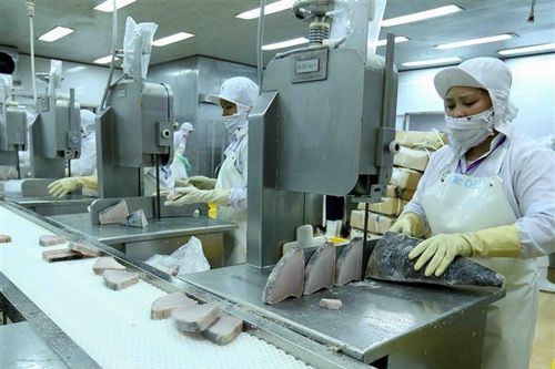 Khó khăn cho ngành thủy sản Việt Nam trước căng thẳng Nga-Ukraine