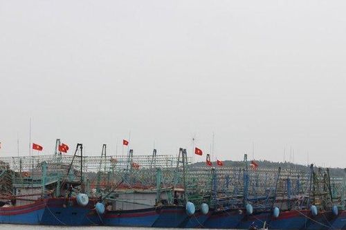 Thua lỗ sau nhiều lần ra khơi, ngư dân xót xa rao bán tàu