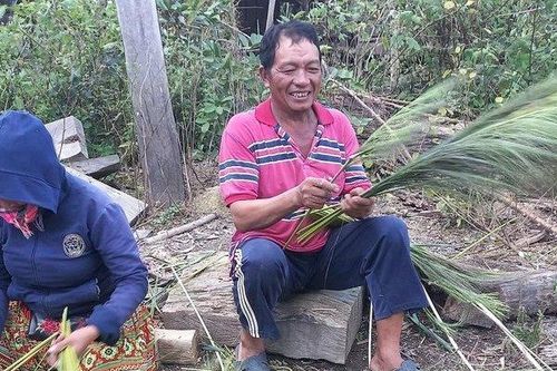 Mùa hái 'lộc trời' ở Đắk Lắk