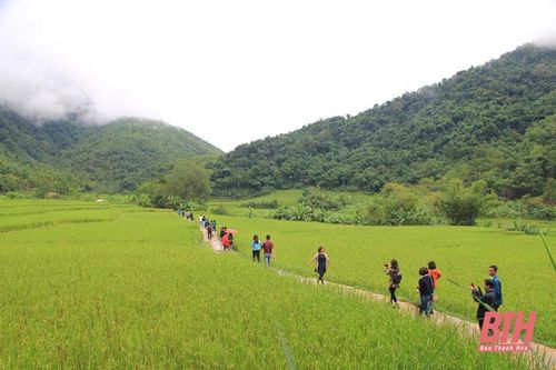 Gõ cửa 'kho báu' ở miền Tây xứ Thanh