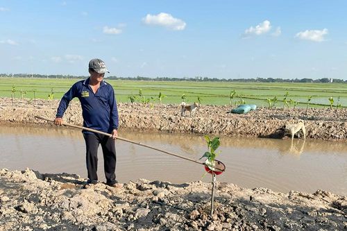 Chuyển đổi cây trồng, nâng cao thu nhập nông dân