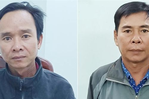 Hai anh em đưa người nhập cảnh trái phép, lãnh án 8 năm tù