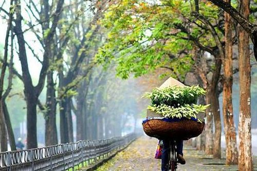 Ngày Quốc tế phụ nữ 8/3, thời tiết đẹp trên cả nước