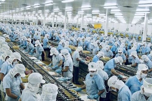 Doanh nghiệp thủy sản Việt Nam lao đao vì xung đột Nga - Ukraine