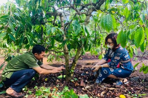 Áp dụng công nghệ tưới tưới tiết kiệm nước giúp tăng năng suất cây trồng