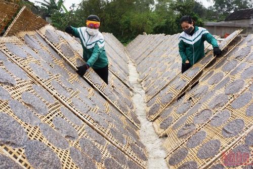 Đưa nông sản địa phương 'xuất ngoại'