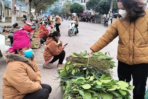Người dân đổ xô mua đồ xông chữa Covid-19: Đừng để tiền mất, tật mang