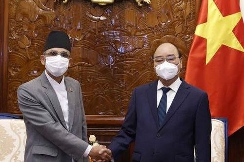 Chủ tịch nước tiếp các Đại sứ trình Quốc thư