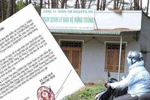 Diễn biến mới vụ công ty vợ nguyên Phó Giám đốc Công an tỉnh bán đất rừng