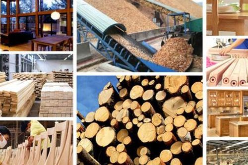 Phấn đấu giá trị xuất khẩu gỗ, lâm sản đạt 20 tỷ USD vào năm 2025