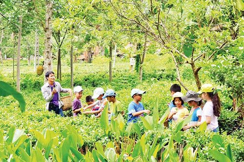 Phát triển các sản phẩm du lịch ngoại thành
