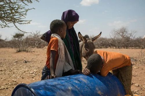 LHQ: Thiếu kinh phí trầm trọng để giải quyết hạn hán ở Somalia
