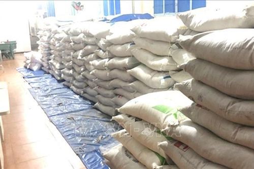Đồng Nai: Điều tra, làm rõ hai vụ nghi nhập lậu hơn 24 tấn đường cát