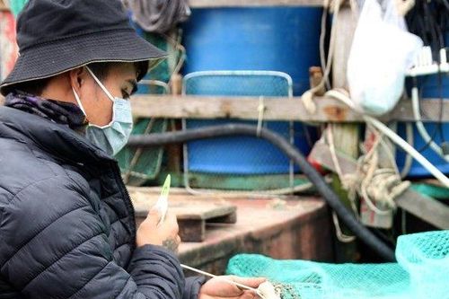 Ngư dân trẻ không mặn mà với biển