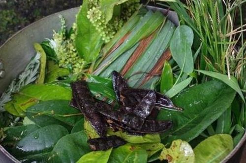 Cảnh báo: Xông lá chữa COVID-19, 2 trẻ bị bỏng nặng