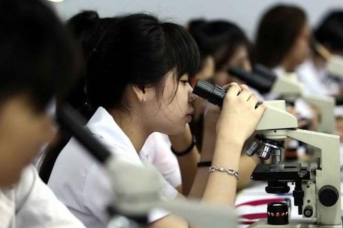 Tuyển sinh ngành y không có môn Sinh: Ai chịu trách nhiệm về chất lượng?